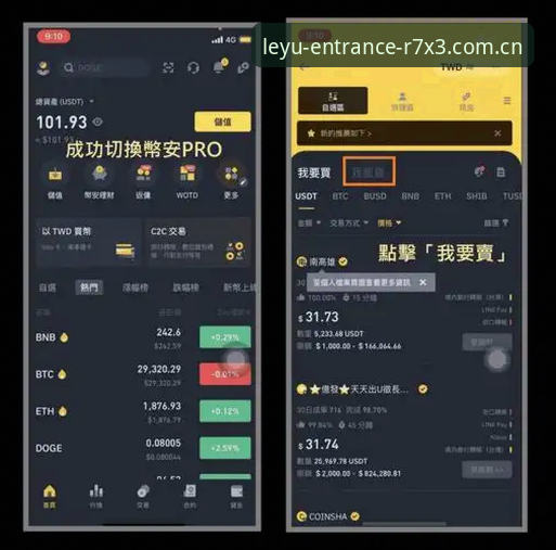 乐鱼平台安全攻略：从注册到提现的全流程操作教程